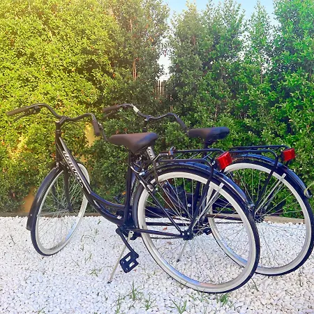 Ajo - Is Molas * 풀라